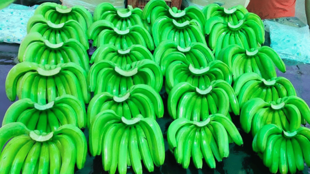 Untitled design (14)