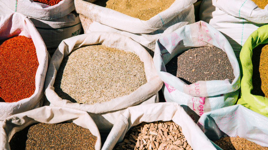 Untitled design (19)